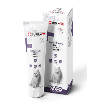lupapacca.com